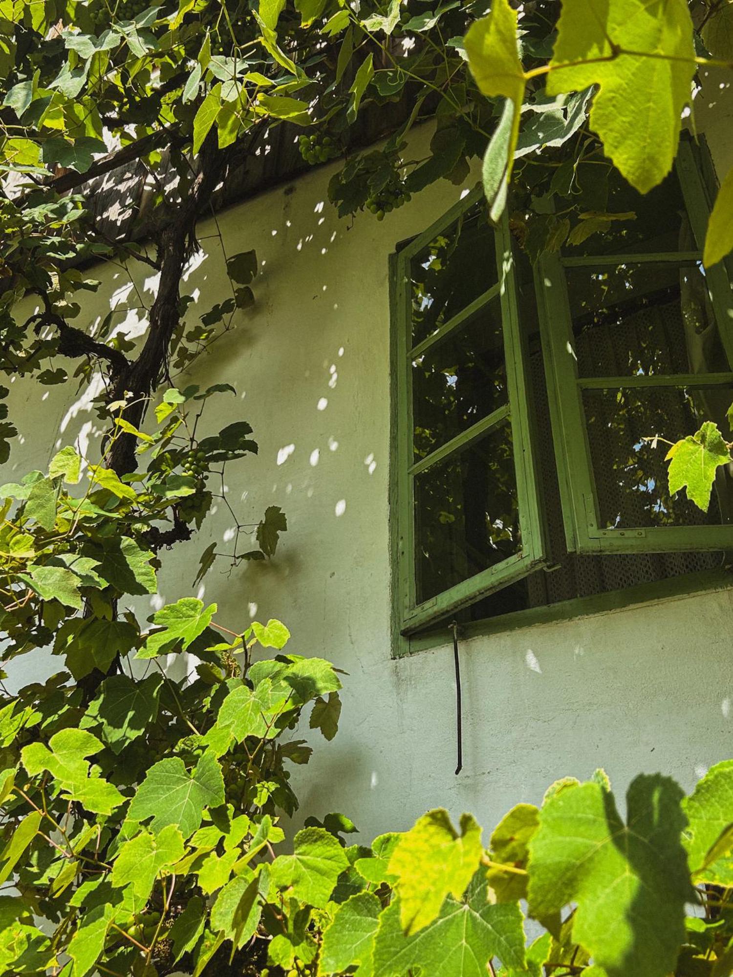 Vintage House Podliparska Guest House Fara Exterior photo